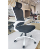 Office Chair,EVMORE Ergonomic Computer Desk Chair,Mid Back Adjustable Mesh Home Office Chair White Black