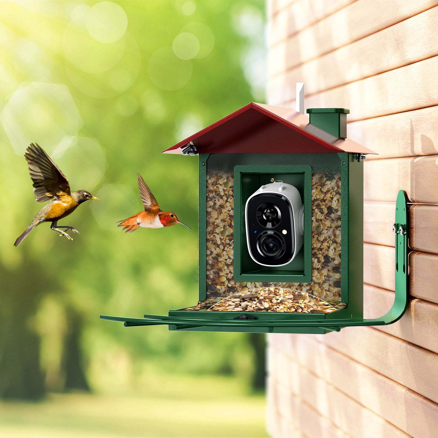 Smart Bird Feeder, Outdoor Bird Watching Camera Auto Capture & Motion Detection