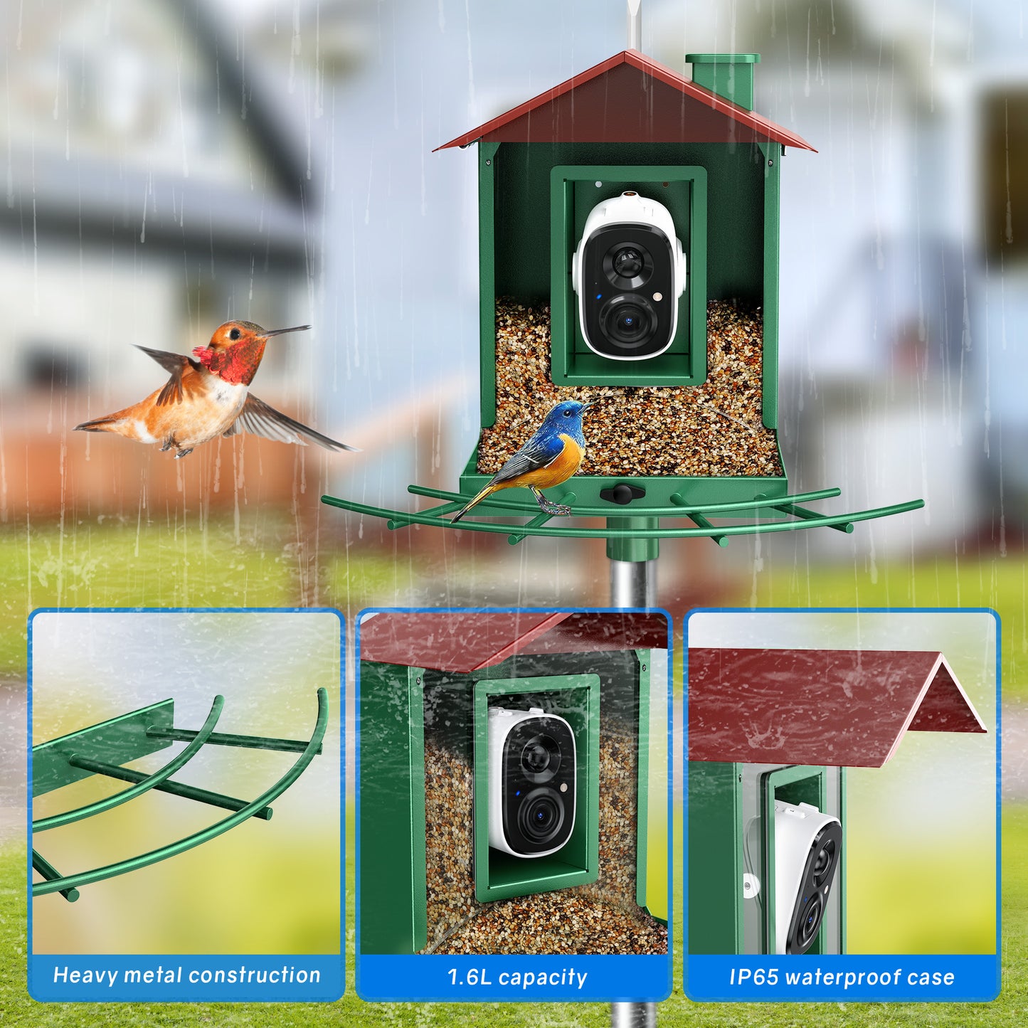 Smart Bird Feeder, Outdoor Bird Watching Camera Auto Capture & Motion Detection