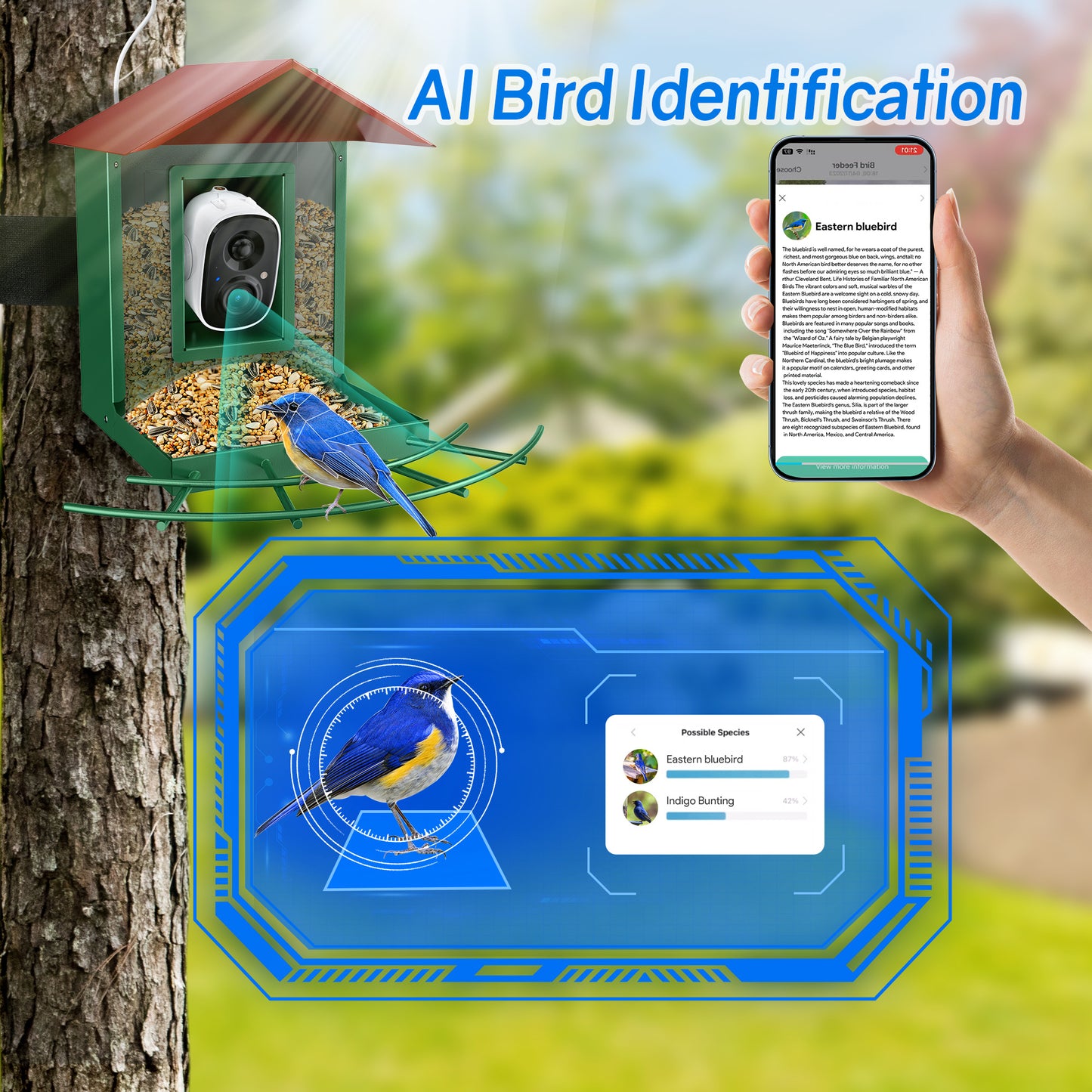 Smart Bird Feeder, Outdoor Bird Watching Camera Auto Capture & Motion Detection